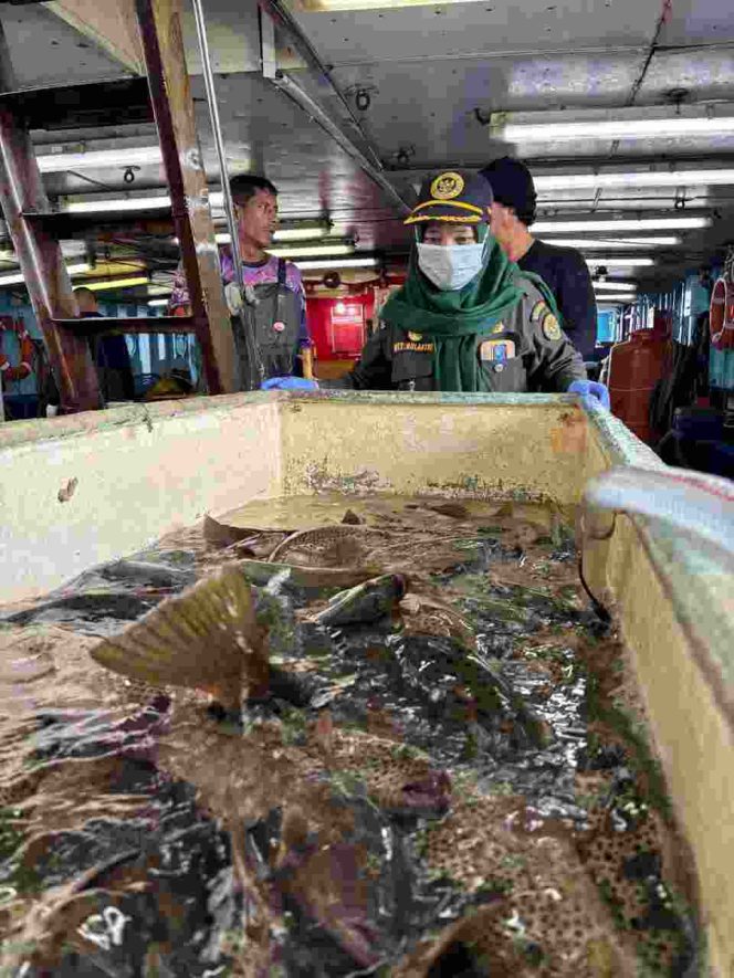 
					Ekspor Perdana 2026, 8,3 Ton Ikan asal Natuna Tembus ke Hong Kong