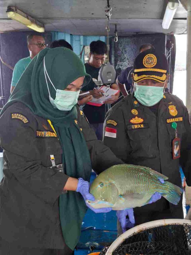 
					Ekspor Ikan Natuna Tembus 1,2 Miliar Rupiah, Karantina Kepri : Semua Dalam Keadaan Sehat