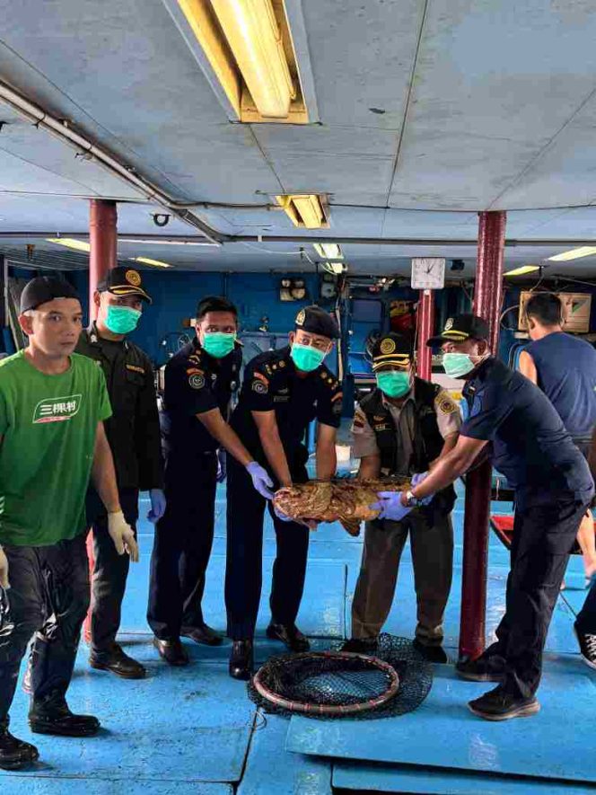 
					Lolos Pemeriksaan Karantina, 10.362 Ekor Ikan Asal Natuna Diekspor Lagi ke Hongkong